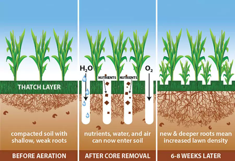 aeration process details
