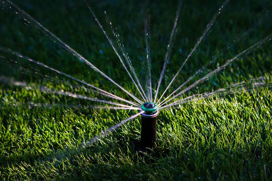 Sprinkler watering grass