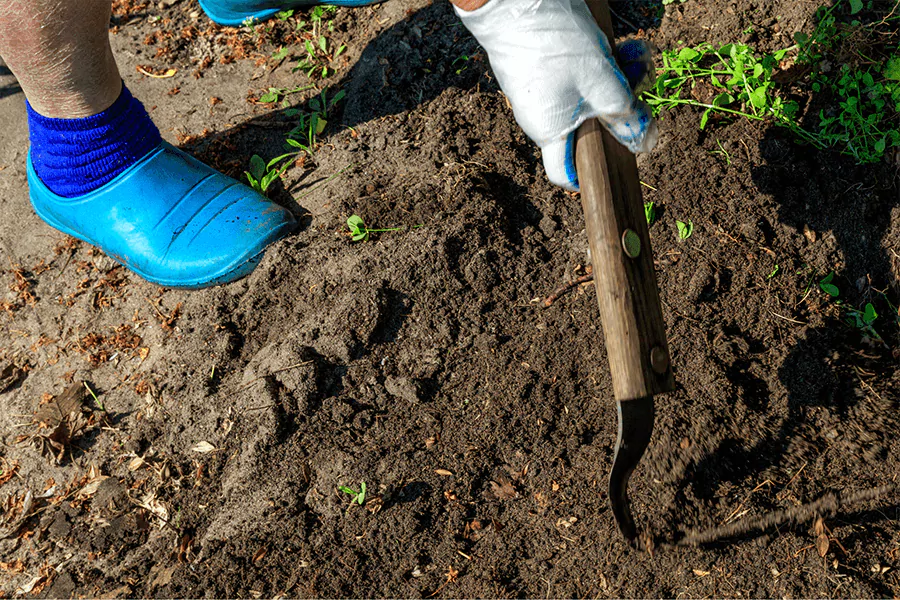 A man wearing white gloves in his hands and digging in the soil for the purpose of lawn care