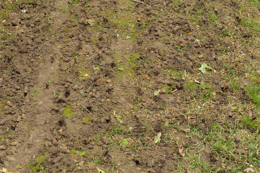 Warweg team providing Lawn Aeration Service in Indianapolis