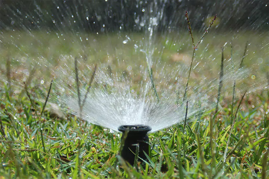 DIY vs. Pro Sprinkler System Maintenance in Indianapolis, IN