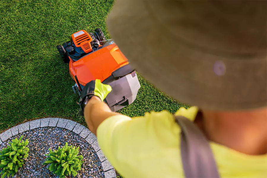 How to Keep Your Indianapolis Lawn Green