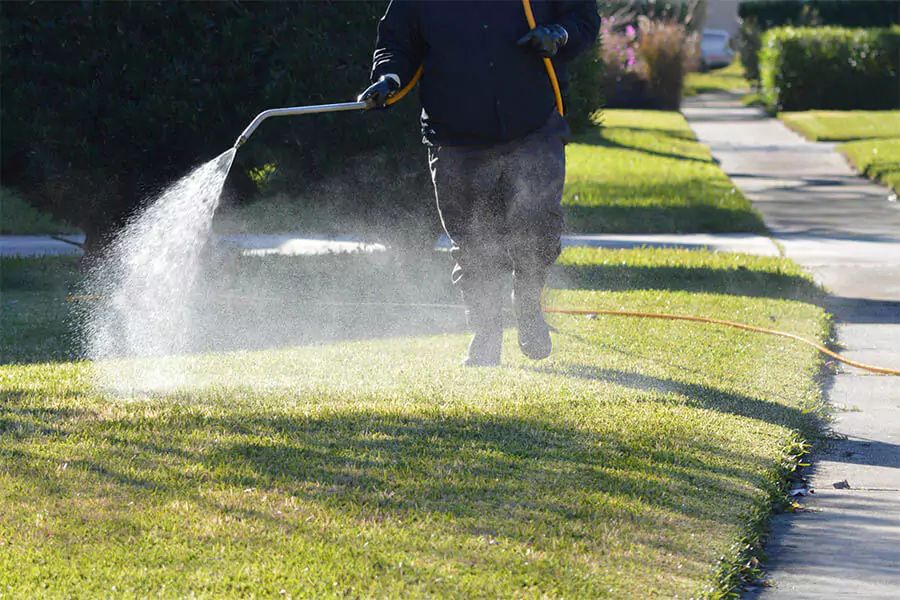 A man watering in a green lawn for doing lawn care
