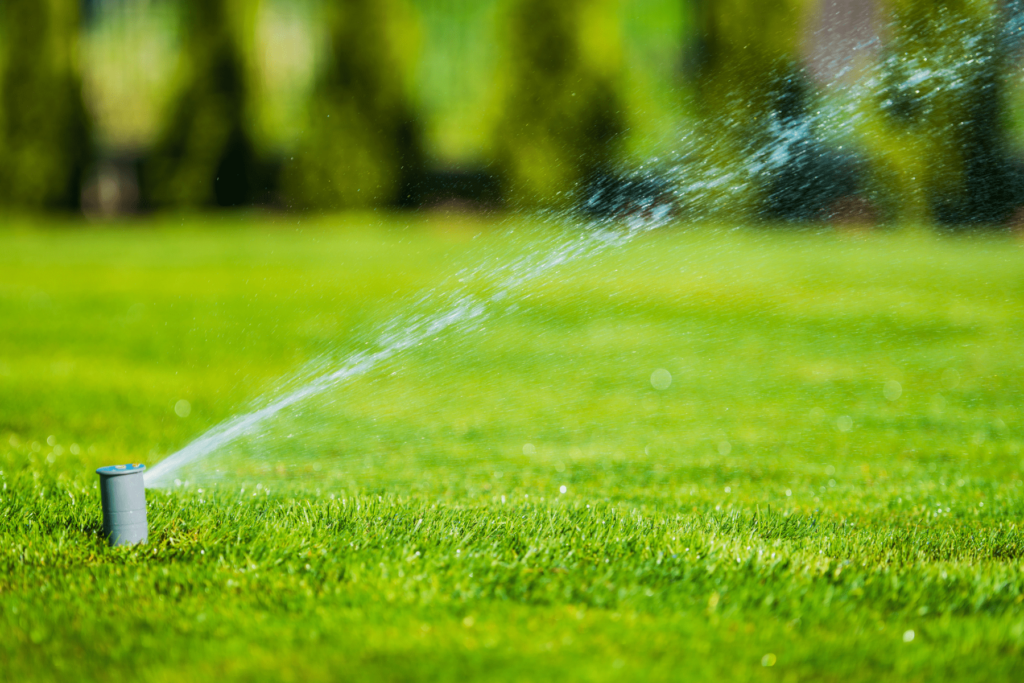 Watering with sprinkler system in a green lawn
