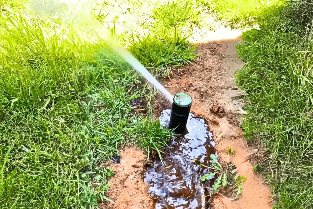Solving Lawn Sprinkler Systems Problems: Quick Fixes for Your Indianapolis, IN Lawn