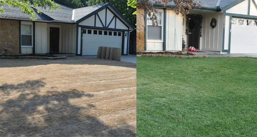 Before and after image showcasing dramatic lawn restoration from brown and patchy grass to lush green grass following spring lawn renovation in Indianapolis.