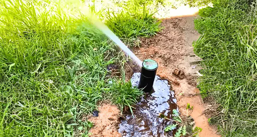Leaking sprinkler head causing lawn water puddle – common sprinkler system issue needing repair in Indianapolis