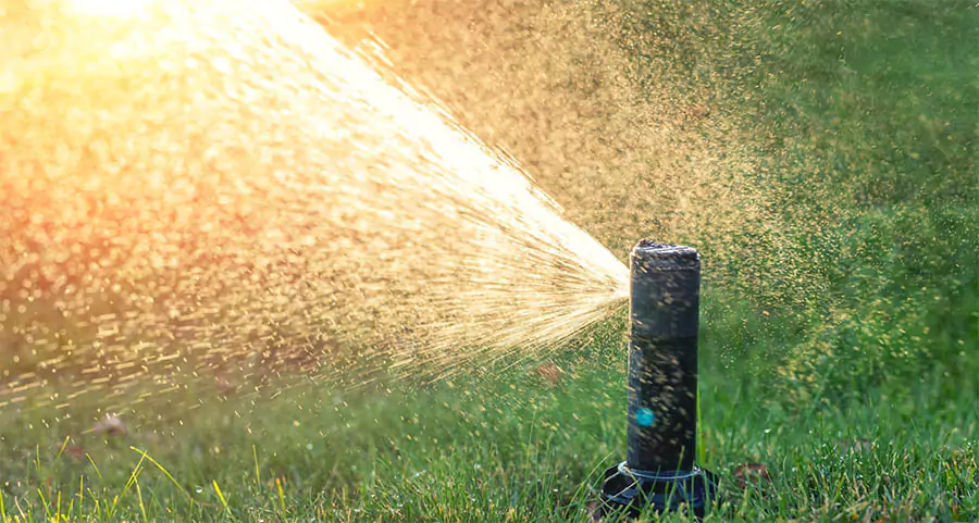 a lawn sprinkler spraying water across green grass in bright sunlight, creating a misty, golden glow.