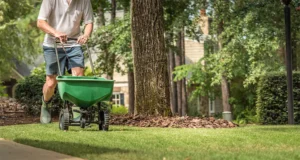 A homeowner spreads fertilizer using a broadcast spreader in a shaded Indianapolis yard, showcasing effective lawn care, weed control, and fertilization practices.