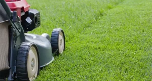 Lawn mower cutting grass in Indianapolis during routine lawn care service for healthy green lawn