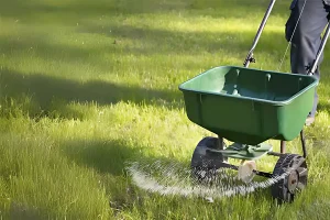 Lawn care professional using a broadcast spreader to apply fertilizer and weed control on a green yard in Indianapolis during spring