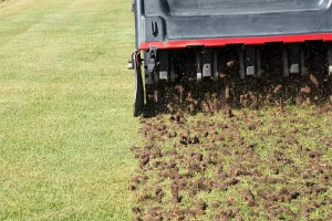 Lawn aeration machine removing soil plugs to improve root growth, water absorption, and lawn health in Indianapolis residential yard.