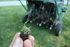 Lawn aeration process in Indianapolis showing soil core plug removed by professional lawn aeration contractors — improves root growth and soil health after overseeding.