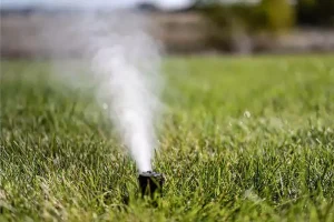 Sprinkler head releasing air during professional blowouts services in Indianapolis lawn to prevent frozen pipes and ensure proper irrigation system maintenance before winter.