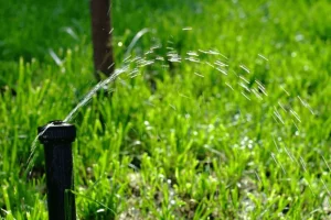 Close-up of a lawn sprinkler spraying water across bright green grass during irrigation, showing proper coverage for a healthy, well-watered lawn.