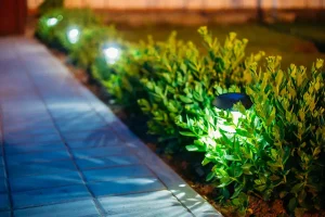 LED pathway lighting along Indianapolis walkway with low-voltage landscape lights installed beside shrubs for safe nighttime outdoor illumination