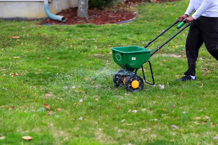 Homeowner applying fertilizer with broadcast spreader during early spring lawn preparation in Indianapolis for thicker, healthier residential grass growth.