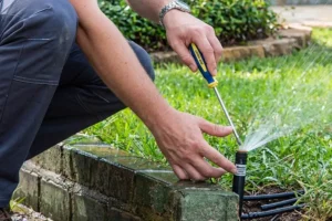 https://wewatergrass.com/what-maintenance-fixes-help-prevent-leaks-and-reduce-water-waste-in-indianapolis/
