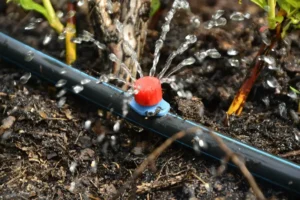A drip irrigation emitter delivers water directly to plant roots, helping reduce water waste while keeping landscape plants healthy and thriving.