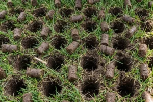 Close-up of a freshly core-aerated lawn in Indianapolis, showing soil plugs and aeration holes that help reduce soil compaction and improve grass growth.