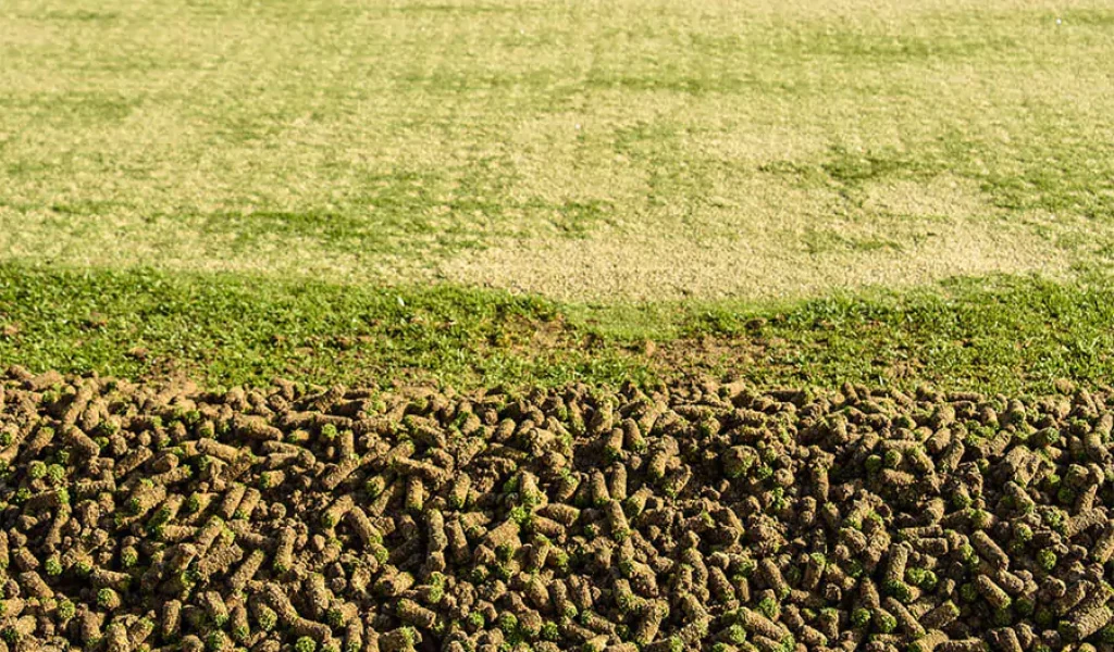 In a lawn Warweg tean doing Lawn Aeration