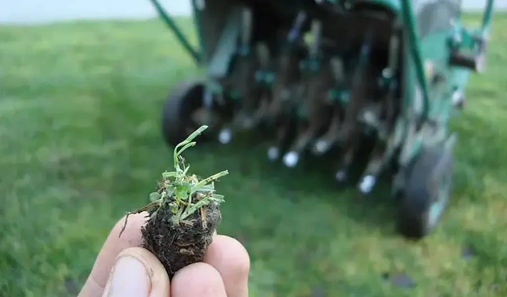 Lawn aeration process in Indianapolis showing soil core plug removed by professional lawn aeration contractors — improves root growth and soil health after overseeding.
