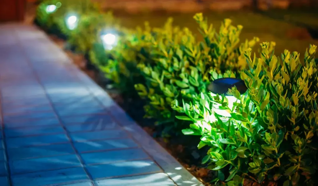 LED pathway lighting along Indianapolis walkway with low-voltage landscape lights installed beside shrubs for safe nighttime outdoor illumination
