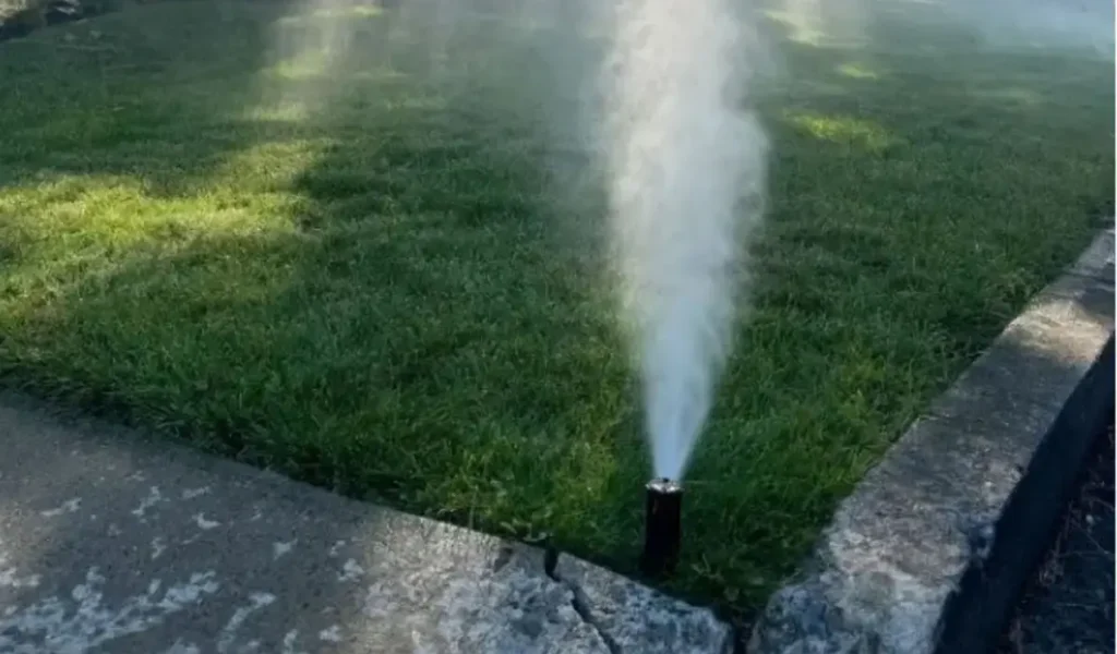 Sprinkler head spraying mist on a lawn near cracked concrete edge, showing potential damage from freezing temperatures in an underground irrigation system.