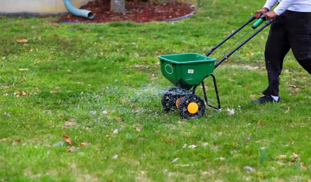 Homeowner applying fertilizer with broadcast spreader during early spring lawn preparation in Indianapolis for thicker, healthier residential grass growth.