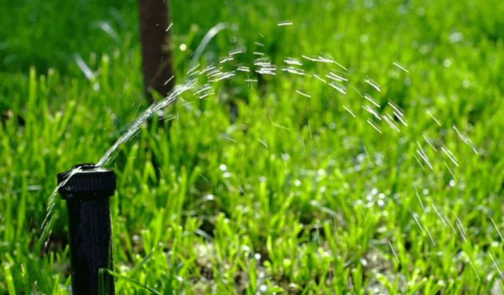 Close-up of a lawn sprinkler spraying water across bright green grass during irrigation, showing proper coverage for a healthy, well-watered lawn.