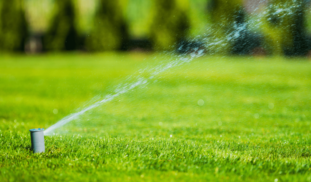 Watering with sprinkler system in a green lawn