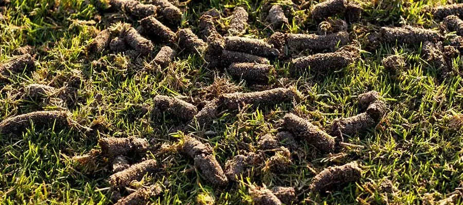 Aeration 2 (1) aeration plugs after a pass
