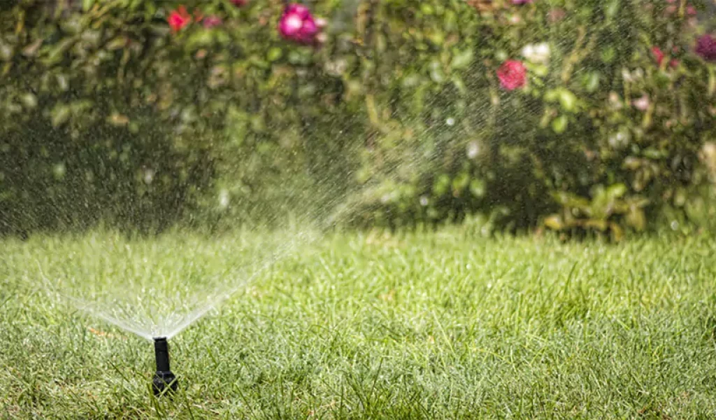 Lawn sprinkler system spraying water on healthy green grass in a landscape with blooming flowers in the background