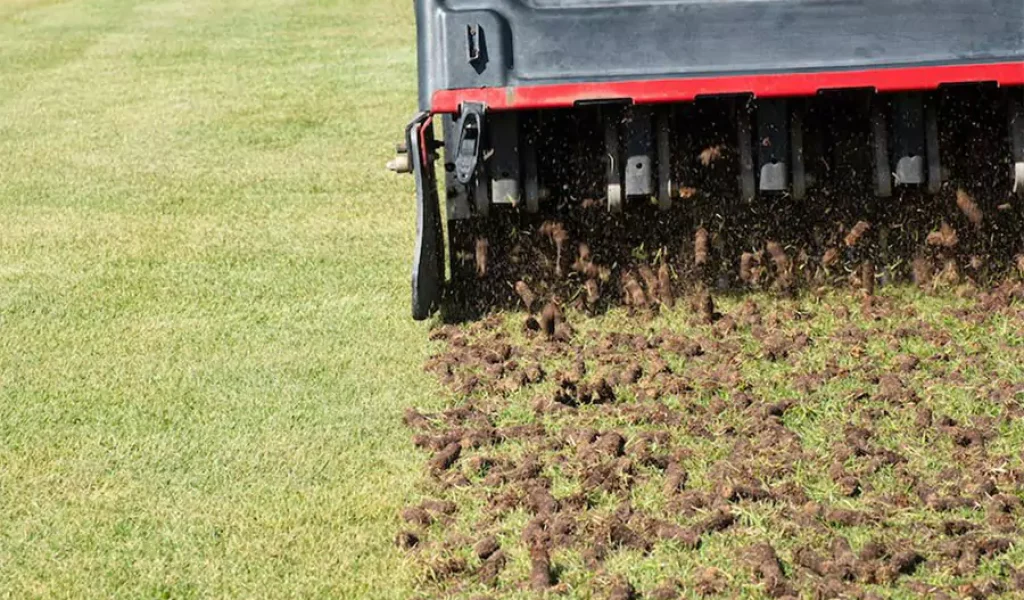 Lawn aeration machine removing soil plugs to improve root growth, water absorption, and lawn health in Indianapolis residential yard.