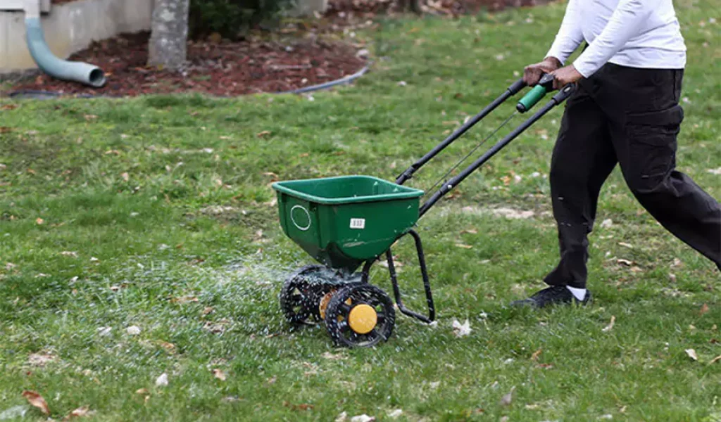 How to Choose the Right Fertilization and Weed Control Plan for Your Indianapolis, IN Lawn