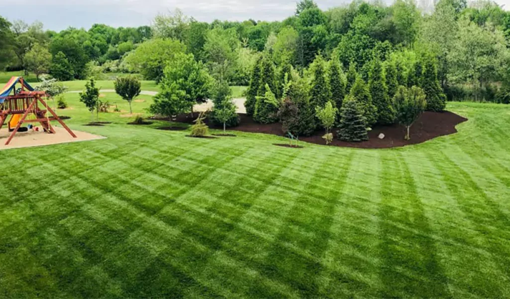 Benefits of Custom Lawn Care for Indianapolis, IN Homeowners