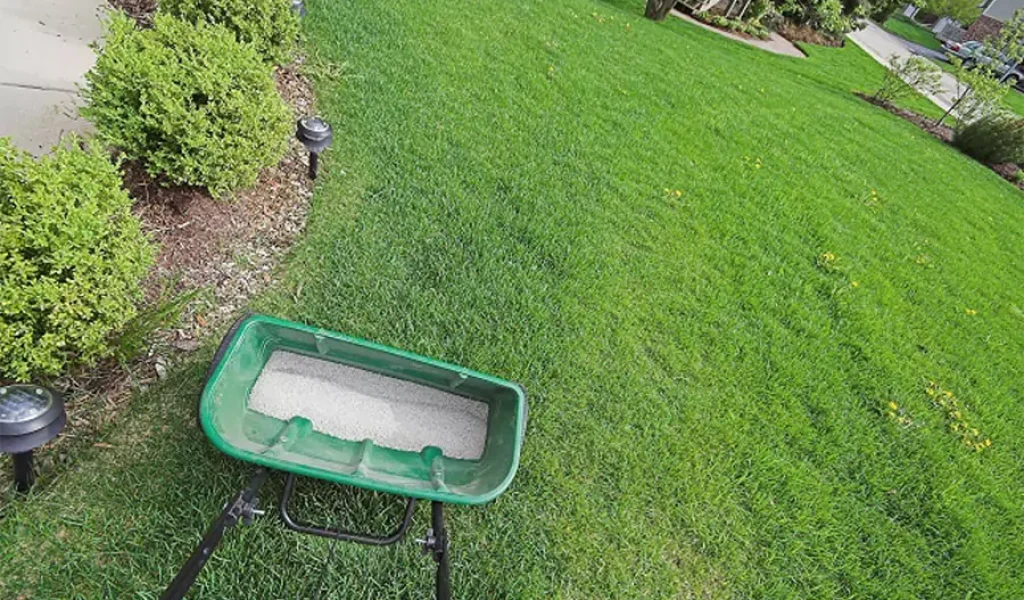 Close-up view of a lawn spreader applying fertilizer to a green lawn, highlighting the comparison between DIY and professional lawn fertilization and weed control in Indianapolis. Close-up view of a lawn spreader applying fertilizer to a green lawn, highlighting the comparison between DIY and professional lawn fertilization and weed control in Indianapolis.