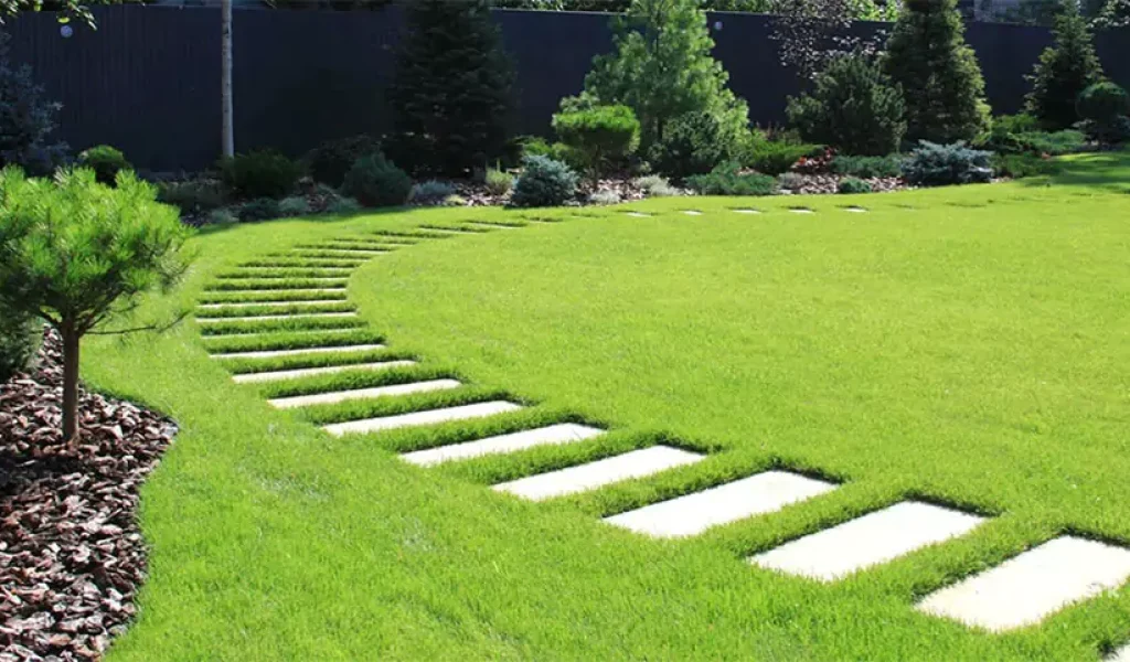 Custom Lawn Care Plans to Meet Every Need in Indianapolis, IN