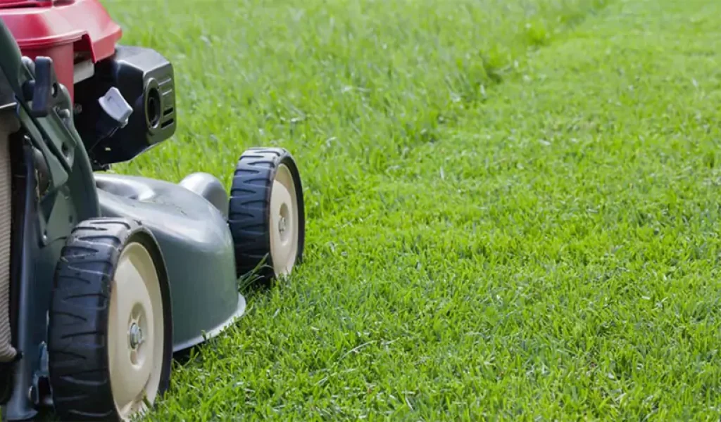 Lawn mower cutting grass in Indianapolis during routine lawn care service for healthy green lawn