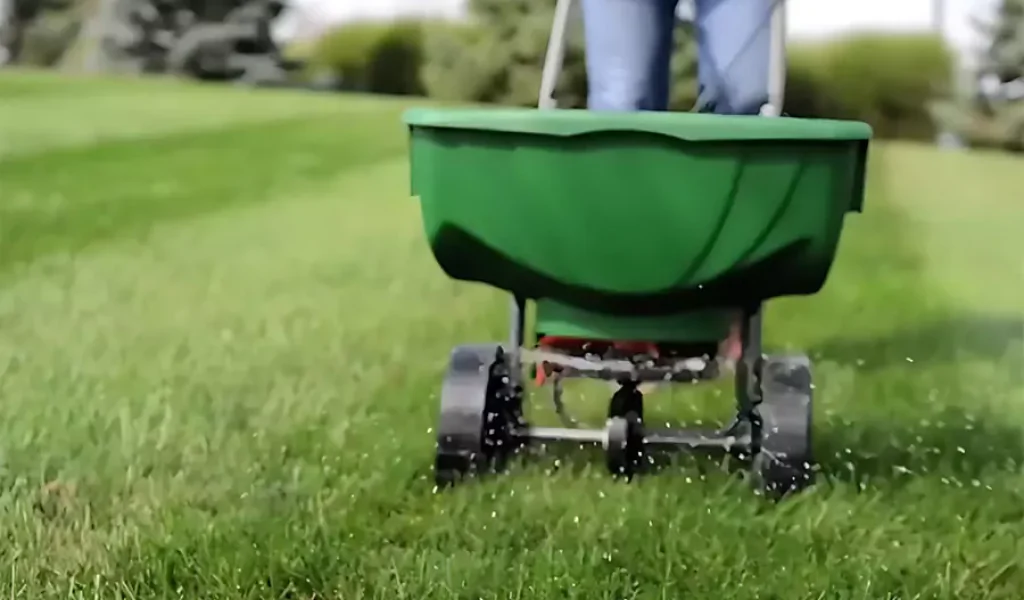 Why Regular Weed Removal is Essential for Lawn Health in Indianapolis, IN