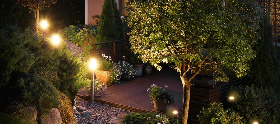 small patio with trees and shrubs lit up.