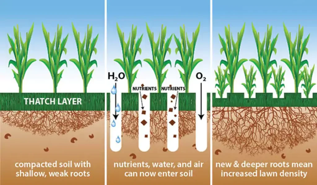 aeration process details