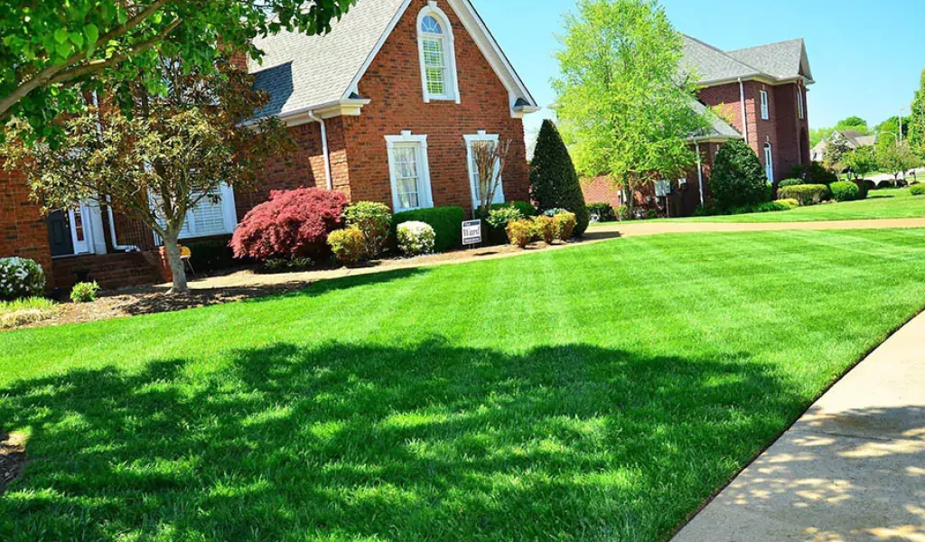 Brick house with green lush lawn