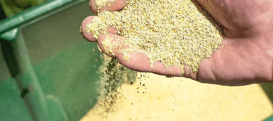 Hand holding yellow fertilizer