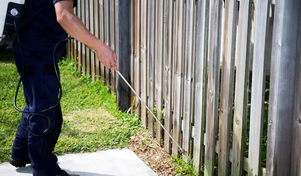man spraying fence for insects