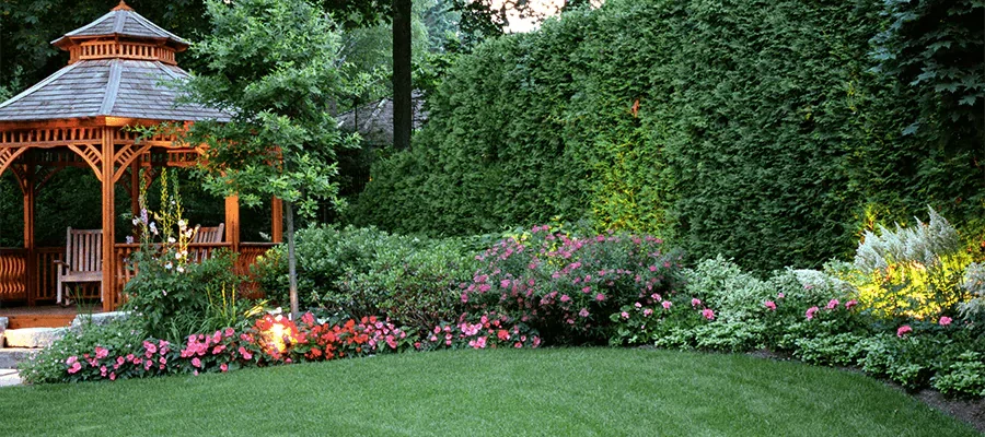 Outdoor landscape lighting with grass