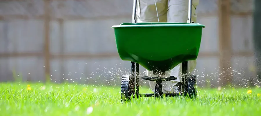 Man using spreader to fertilize grass