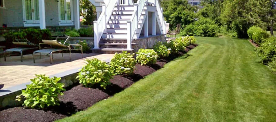 backyard patio with grass and plants and white stairs