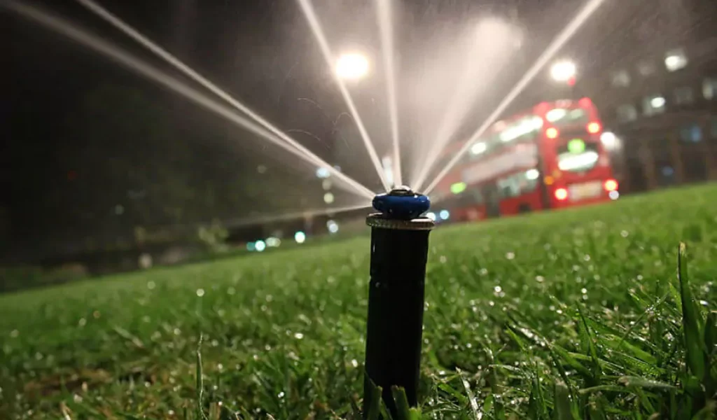 lawn watering at night