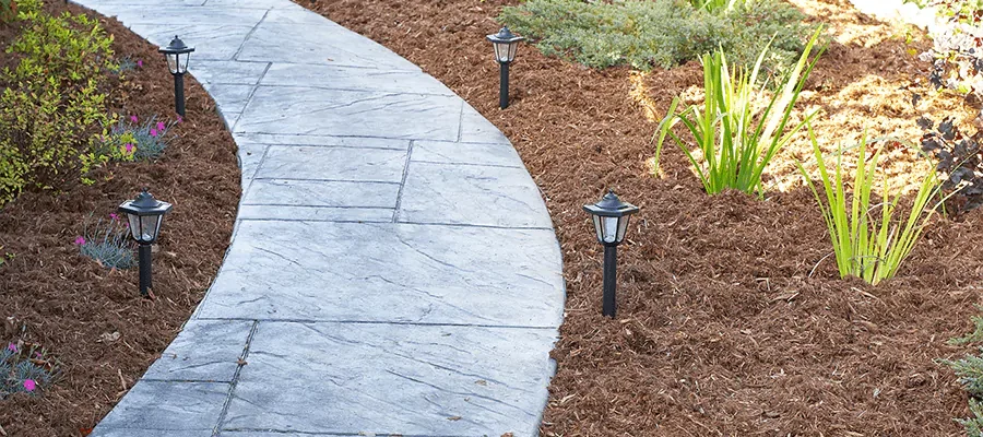 cement walkway with nice landscaping and lights